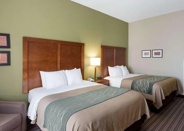 Cheap hotel: Comfort Inn & Suites Fayetteville-University Area